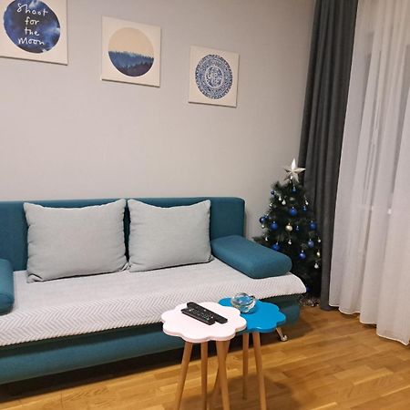 Apartment Marija Belgrade Extérieur photo