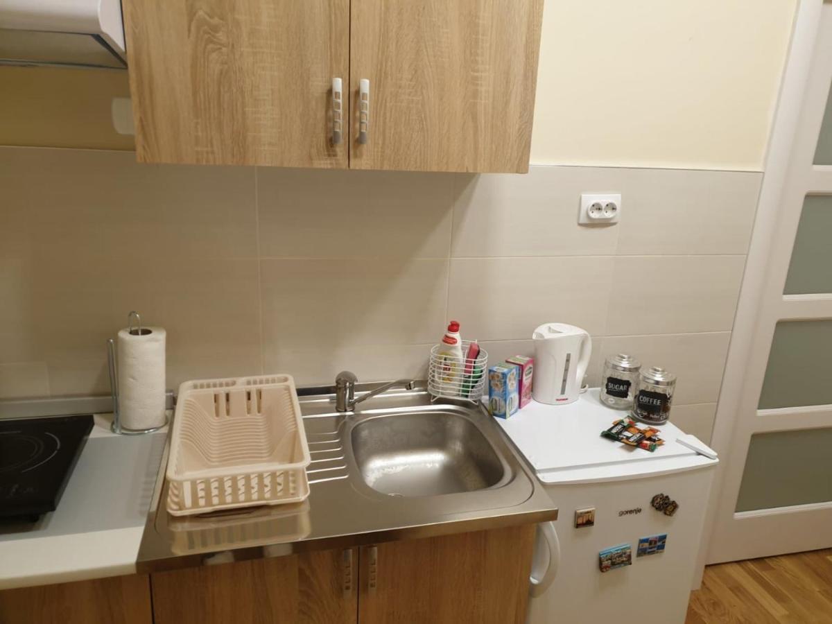 Apartment Marija Belgrade Extérieur photo